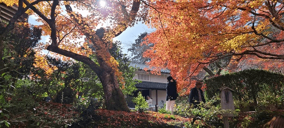 일본 교토의 아름다운 단풍