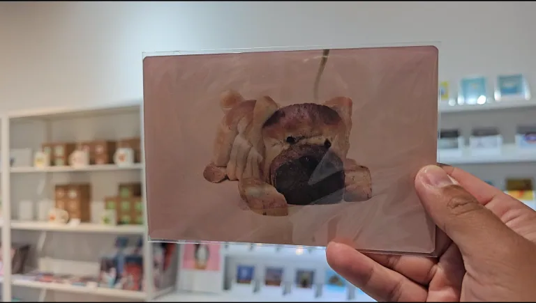 아쿠아플라넷 여수 헬가 스텐첼 특별전