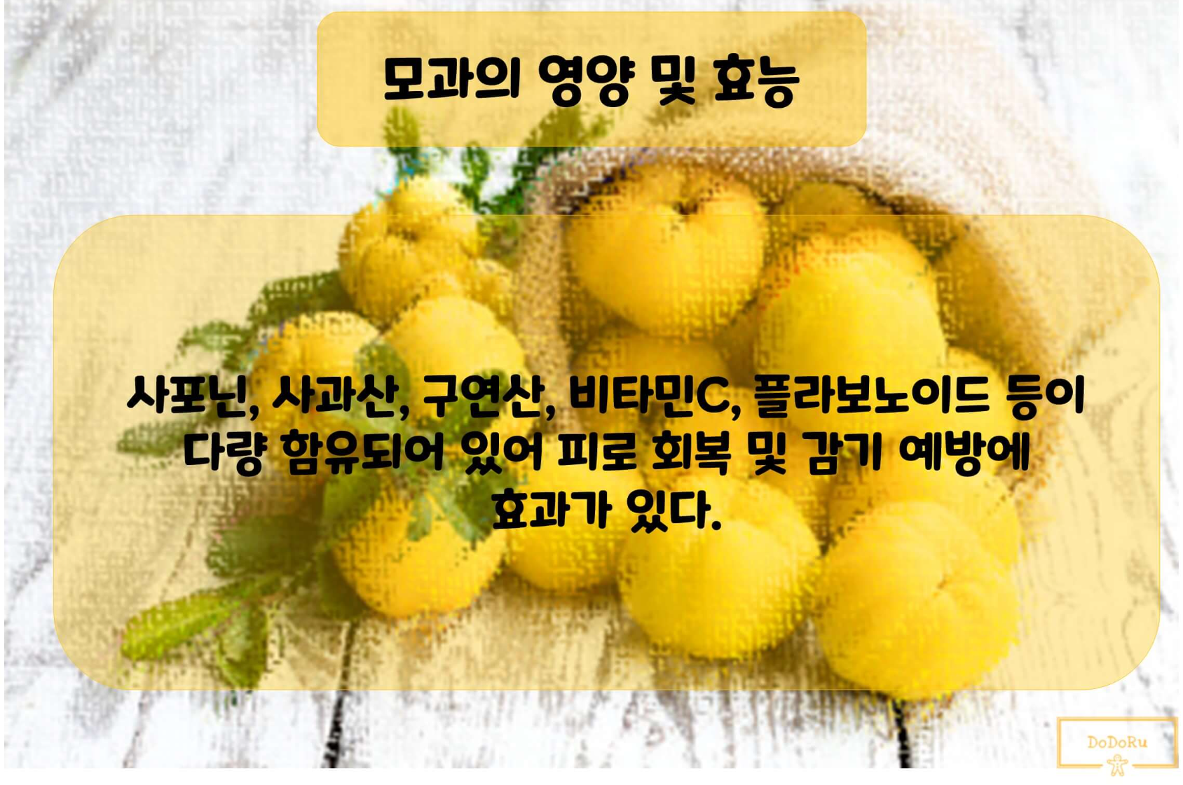 모과의 영양 및 효능