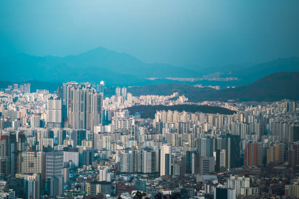 전월세신고제