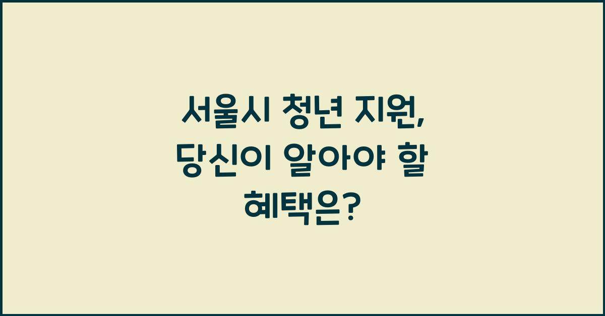 서울시 청년 지원