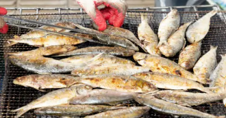 9월 제철 음식, 9월 제철 해산물