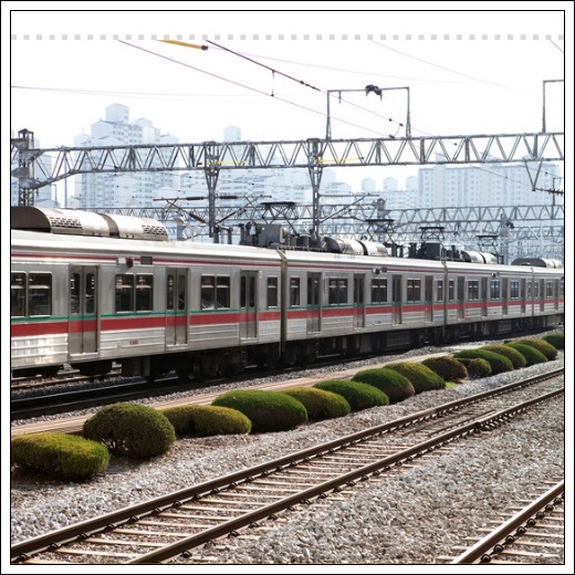 대중교통비 지원 K-패스 5월