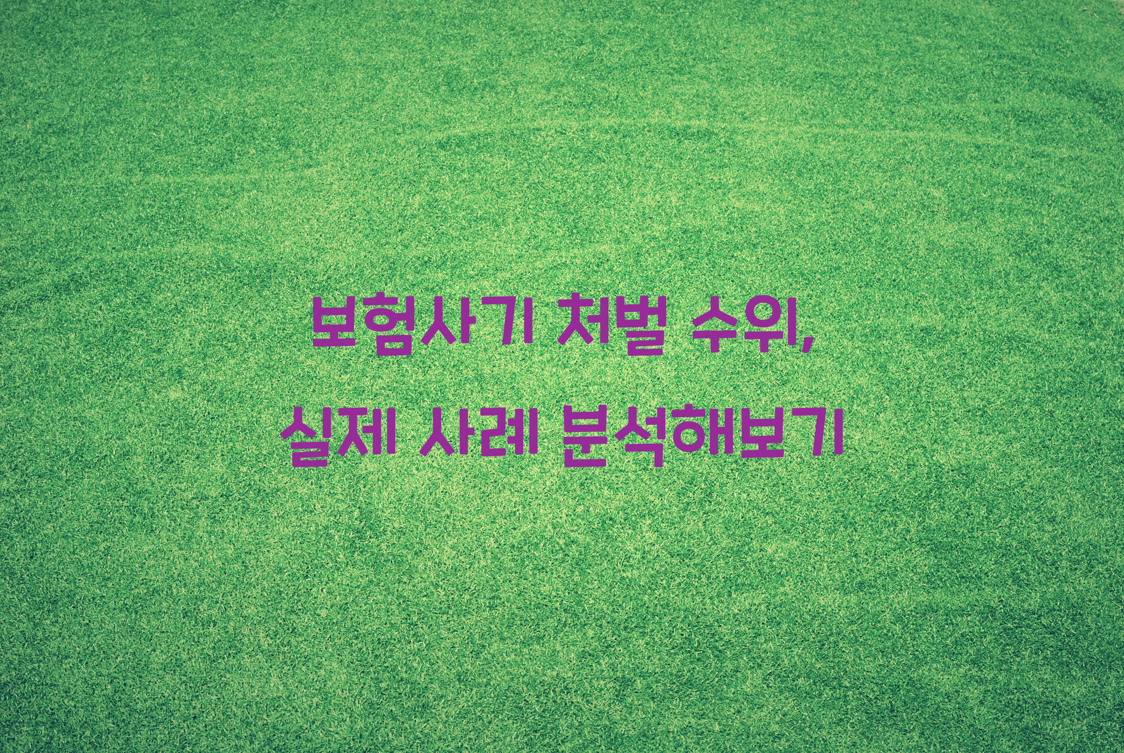 보험사기 처벌 수위