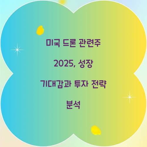 미국 드론 관련주 2025