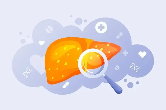 간수치가 높은 이유 낮추는 법