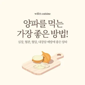 양파 먹는 방법과 양파 효능 양파 부작용 완전 가이드_4