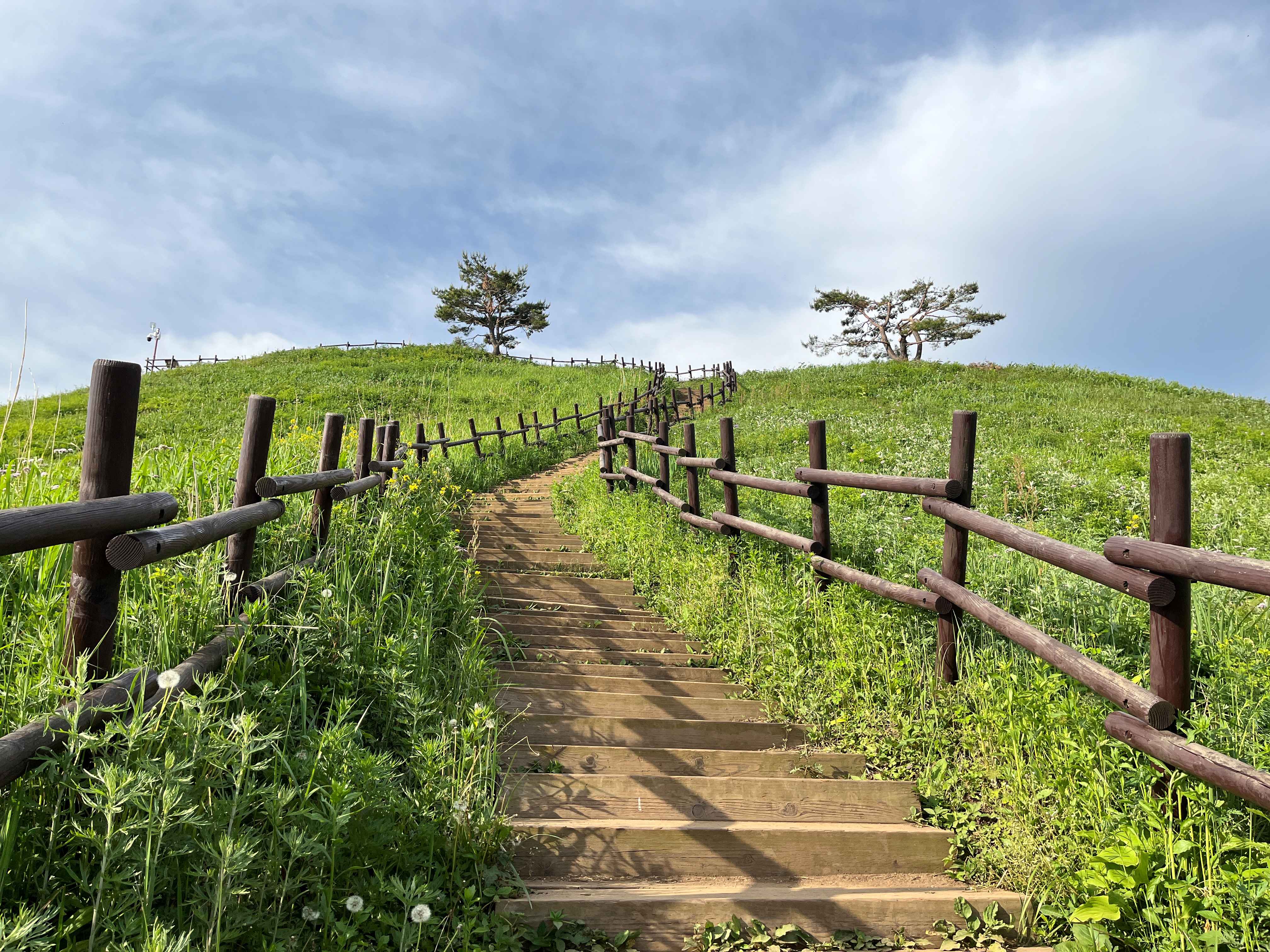 민둥산