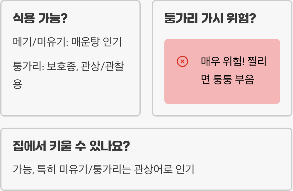 미유기 vs 메기 vs 퉁가리&amp;#44; 뭐가 다를까?