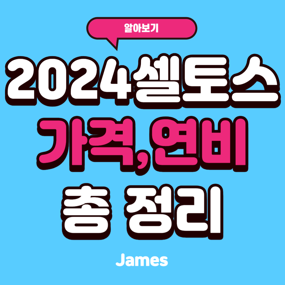 2024 셀토스 가격 연비 리뷰 총정리