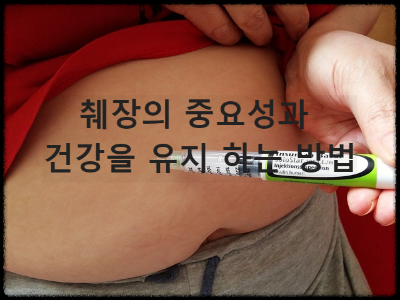 췌장 이자