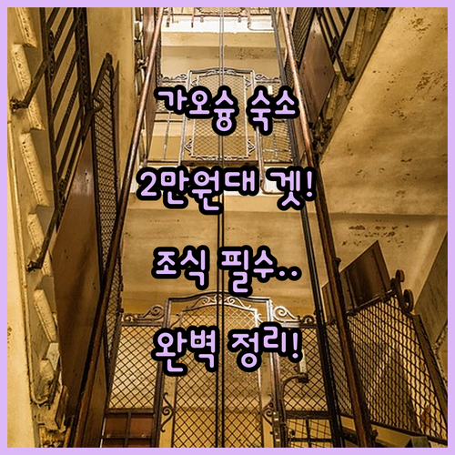 가오슝 2만원대부터 실속 숙소 5곳 ..
