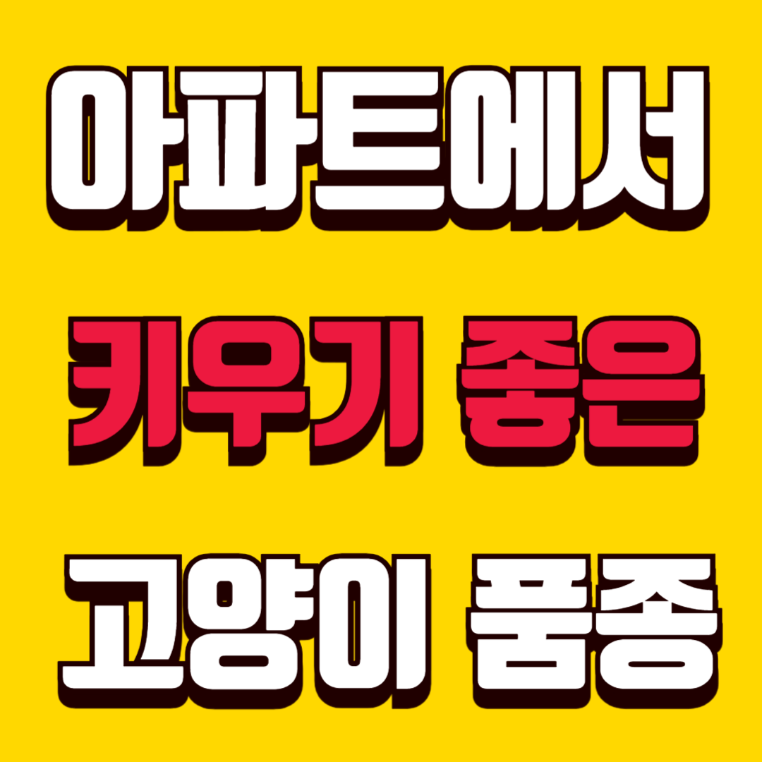 아파트에서 키우기 좋은 고양이 품종 소음, 활동량 기준 추천