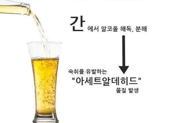 숙취 해소, 다음 날을 망치지 않는 현실적인 방법 총정리