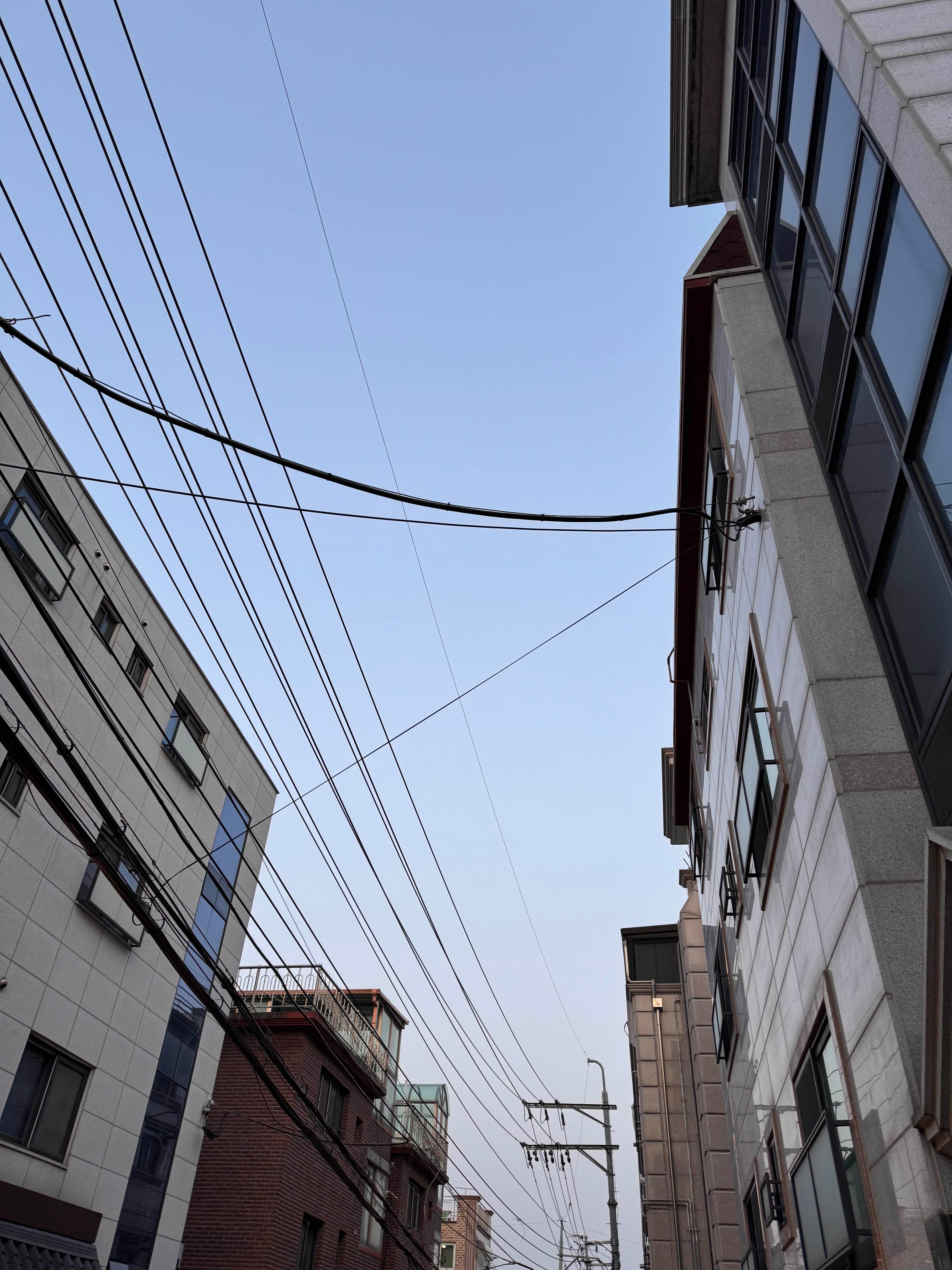 길거리 스트릿 포토 사진