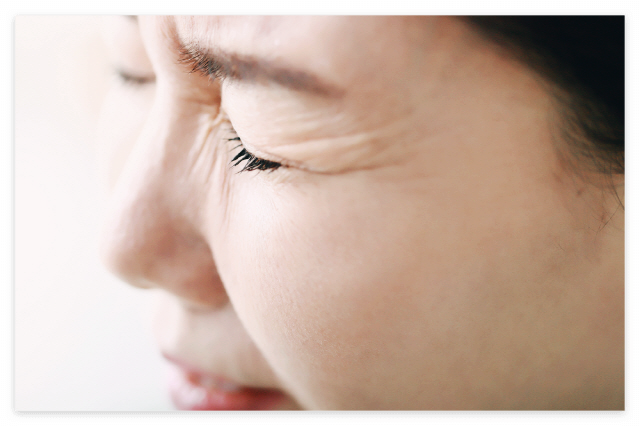 콘드로이친 효능