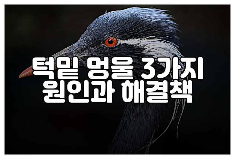 턱밑 멍울 3가지 원인과 해결책