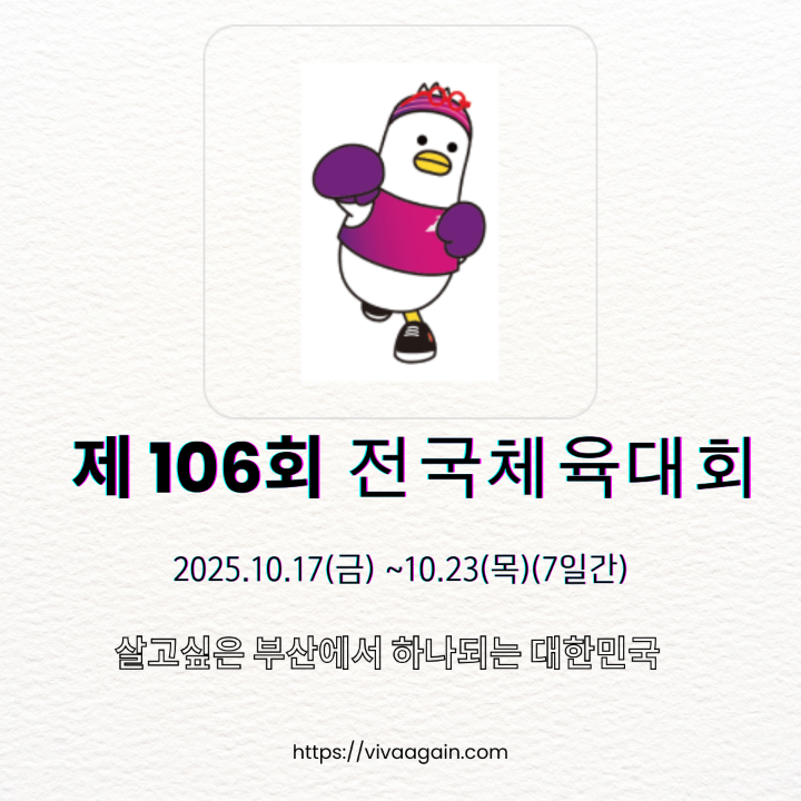 전국체전 복싱 템플릿