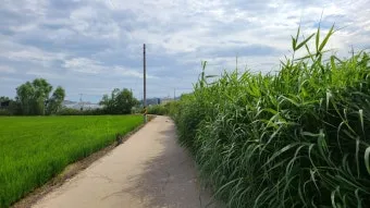 땡큐 하나님 닐 사이먼 희곡의 감동과 유머가 담긴 이야기_11