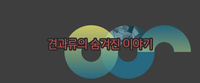 견과류 효능 부작용 섭취방법 알아볼게요