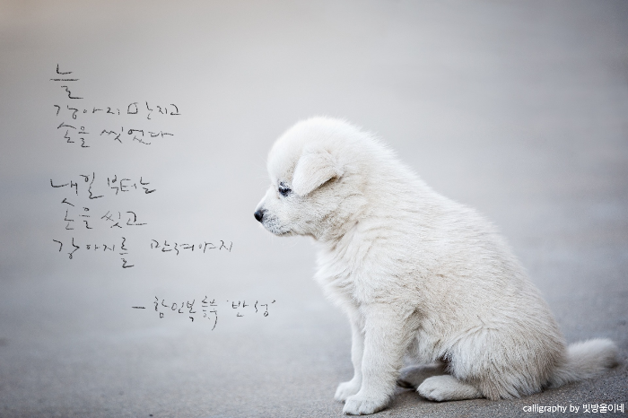 함민복동시반성
