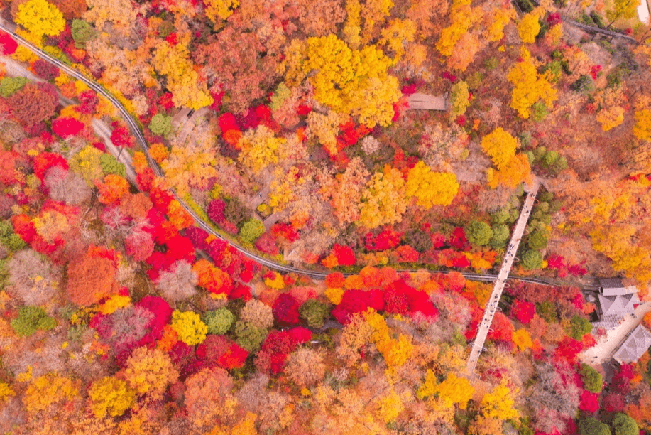 가을 축제 가볼만한 곳