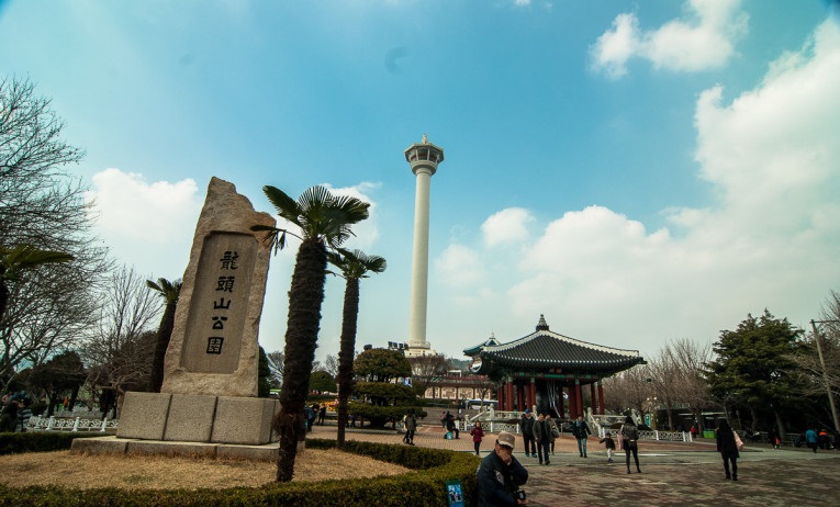 대체텍스트