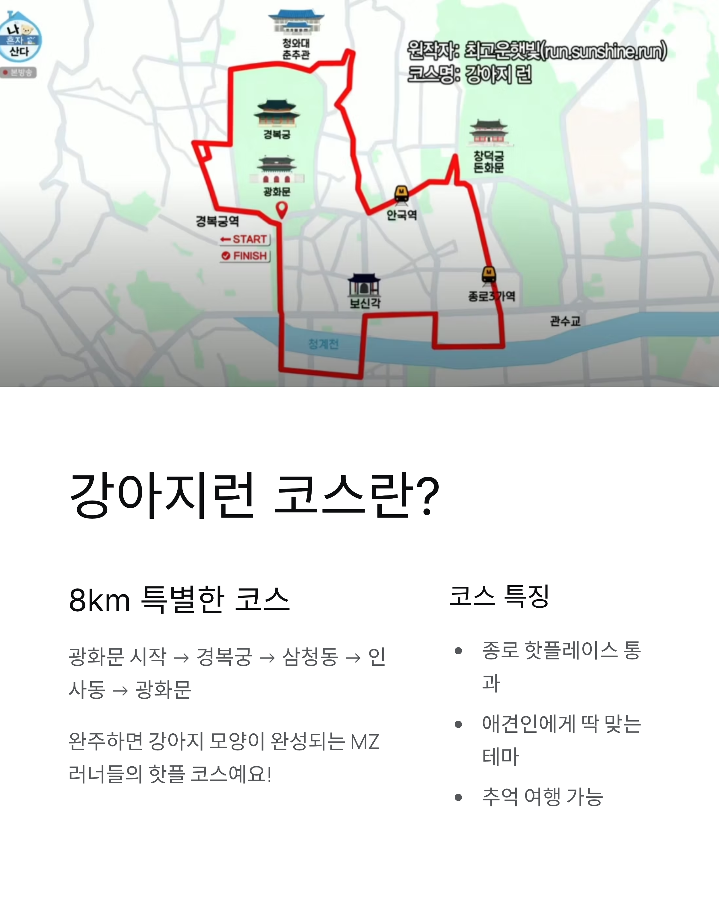 전현무 나혼자산다 강아지런 코스 완주! 무라토너 탄생 비하인드