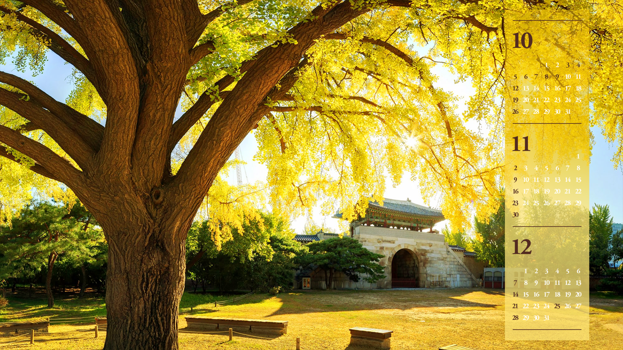 05 경복궁 건춘문 B - 2025년11월 노트북배경화면