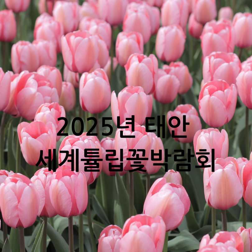 2025년 태안 세계튤립꽃박람회
