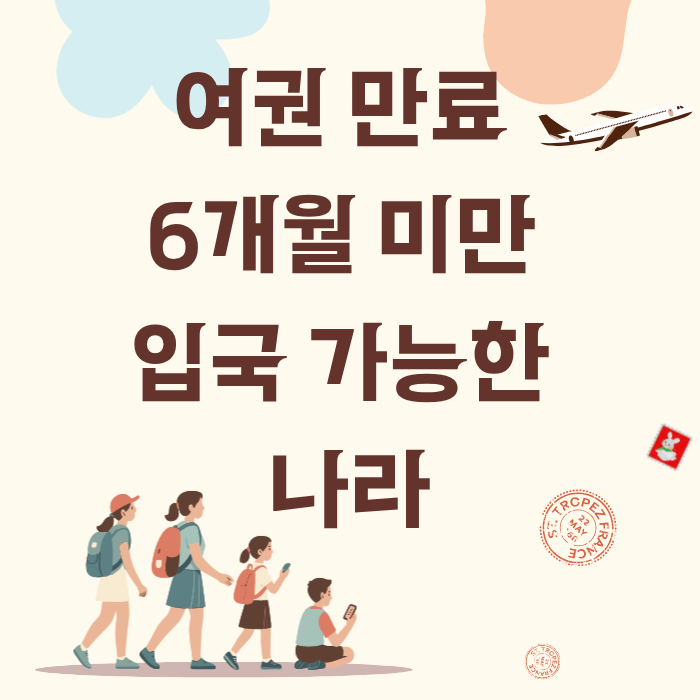 여권 만료 6개월 미만 입국 가능한 나라