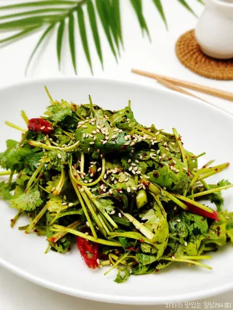 고수 나물 요리 재배 먹는법 무침 김치 만드는 법_12