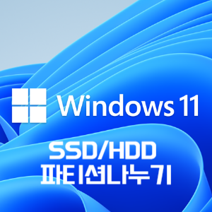 windows11디스크분리하기