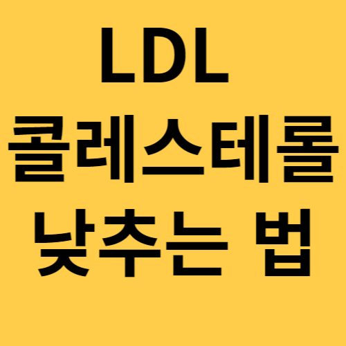 LDL 콜레스테롤 낮추는 법 섬네일