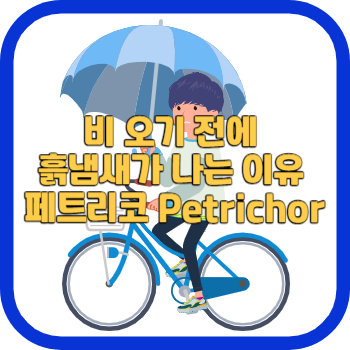 비 오기 전에 흙냄새가 나는 이유 페트리코 Petrichor