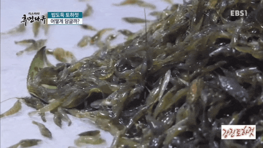 6시내고향 전남 강진 밥도둑 토하젓 & 저염 시골 집 된장 파는 곳 전국 택배 온라인 전화 주문 추천