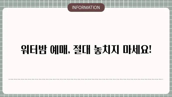 워터밤 2025 서울, 대구, 인쳉, 수원 티켓 가격 및 예매 정보