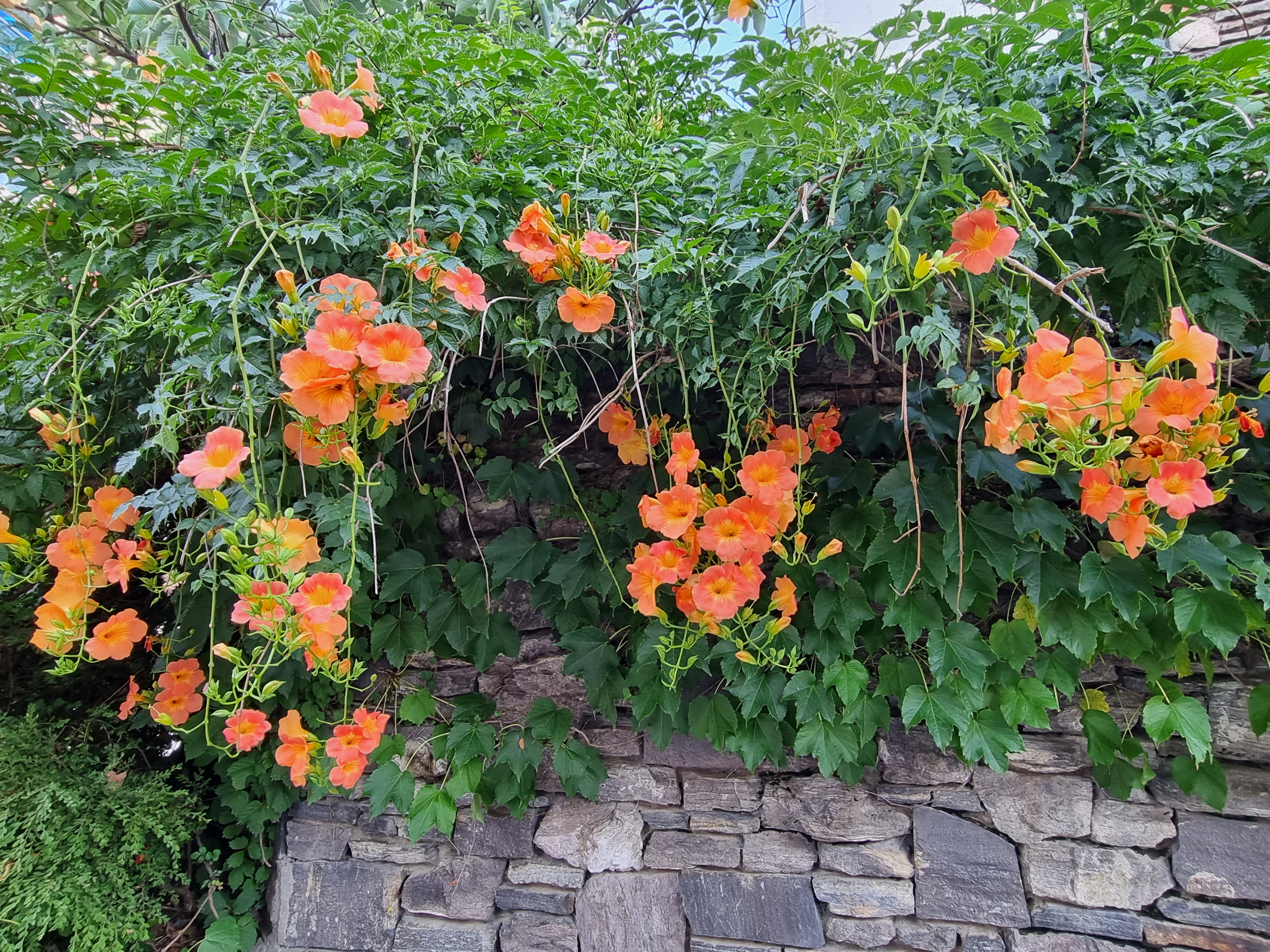 제주도 풍경사진