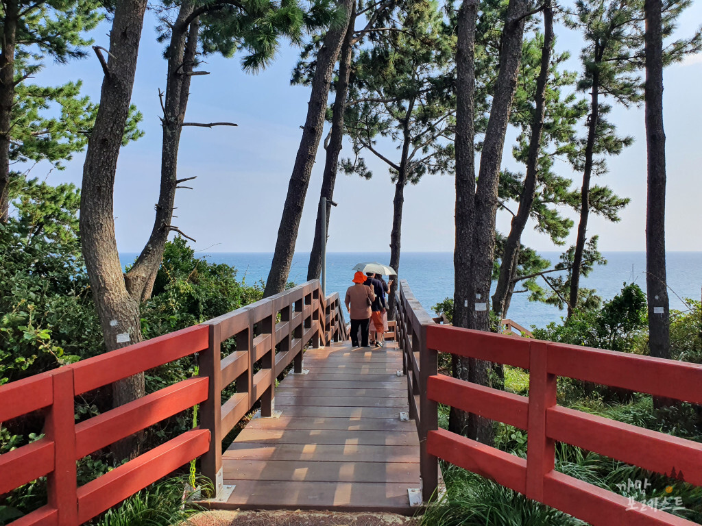 중문 주상절리대 전망대 가는길
