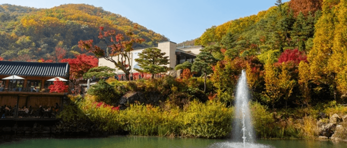 화담숲-단풍-절정시기
