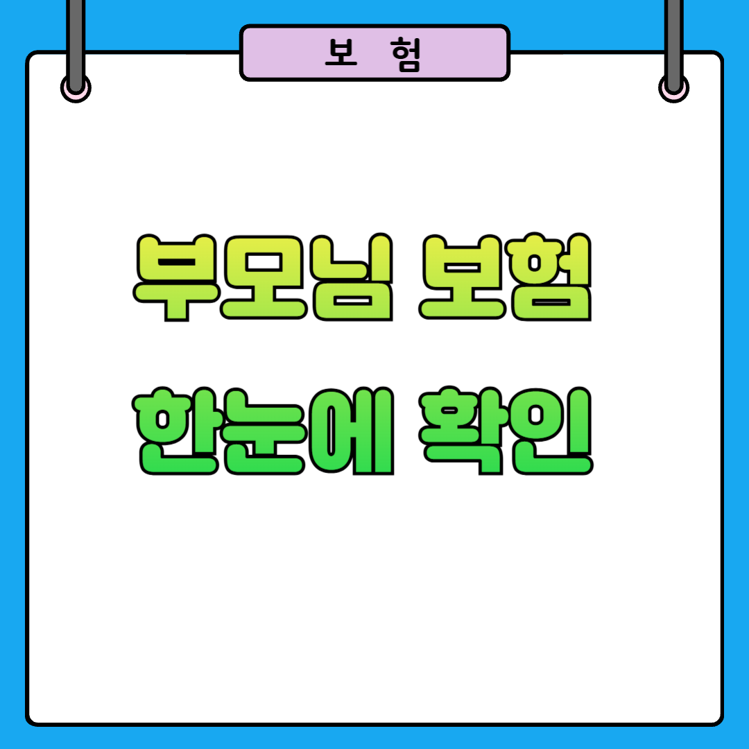 부모님 보험 가입내역 조회 방법