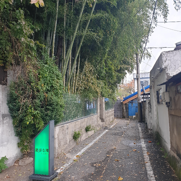 대전 소제동 카페 거리: 대나무가 인상적이었던 카페 '풍류소제'_풍류소제 후문