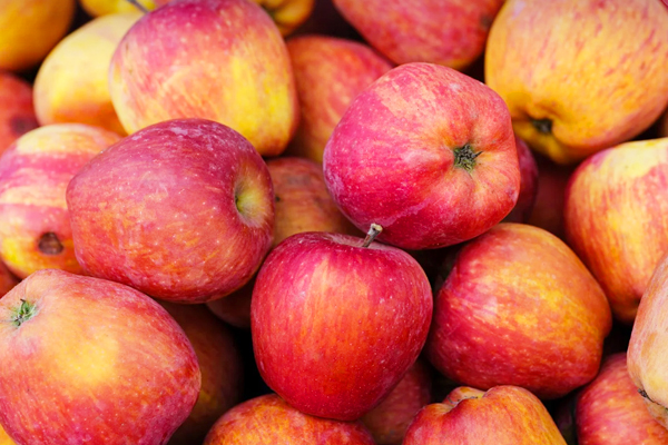 신장질환 종류와 신장병 초기증상과 좋은 식품