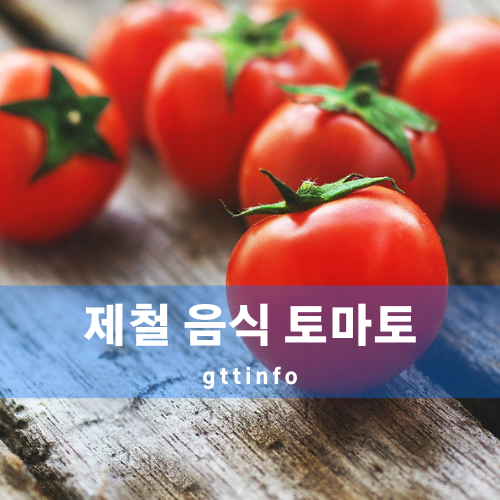 토마토의 효능