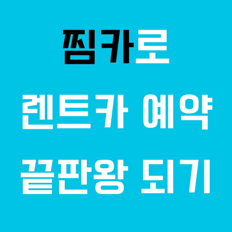 모빌리티 슈퍼앱, 렌터카 찜카! 국내 해외 올인원 예약, 모바일 체크인, 옵션 선택