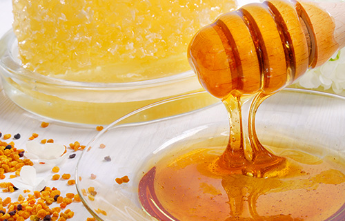 프로폴리스효능