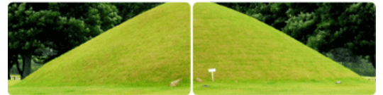 산림조합 벌초대행 벌초도우미 신청 방법, 가격, 주의사항 완벽 가이드