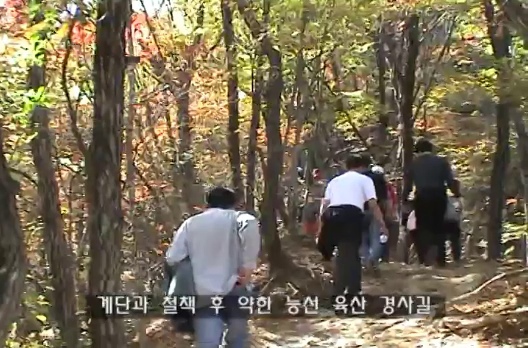 바위와 계단이 이어지는 오르막