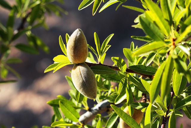 입술에 물집이 생기는 이유 4