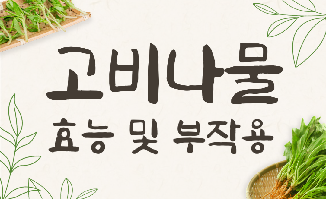 고비나물 효능과 부작용, 고사리와의 차이점까지 완벽 정리!